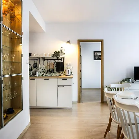 Apartment Fully-furnished With Air Conditioning For Families, Cracow Old Town
